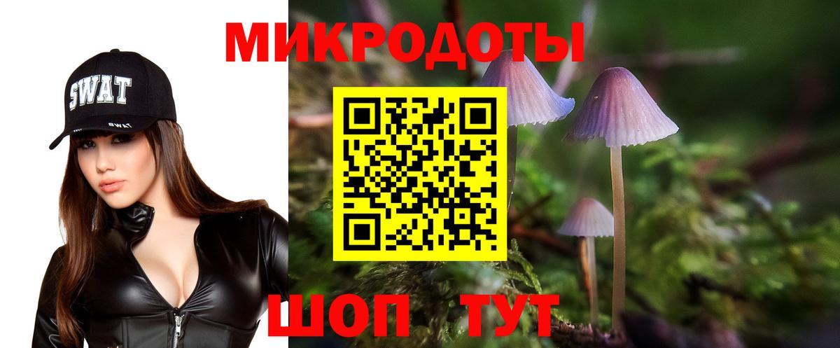 Псилоцибиновые грибы мицелий Долгопрудный